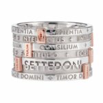 ANELLO TUUM 7 DONI AG-OR MISURA XVIII