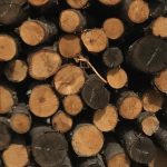 Pali castagnoli da 4.00 mt