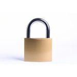 Lucchetto rettangolare ad arco in ottone 25 mm