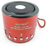 Mini cassa bluetooth WS-Q9